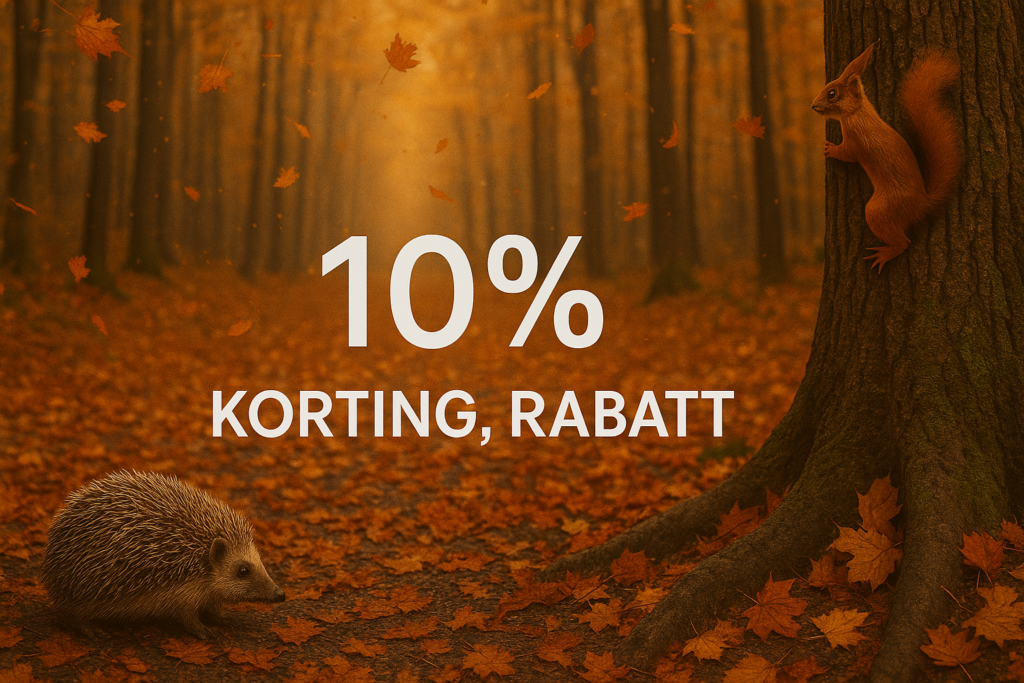 scaler und kuretten schleifen